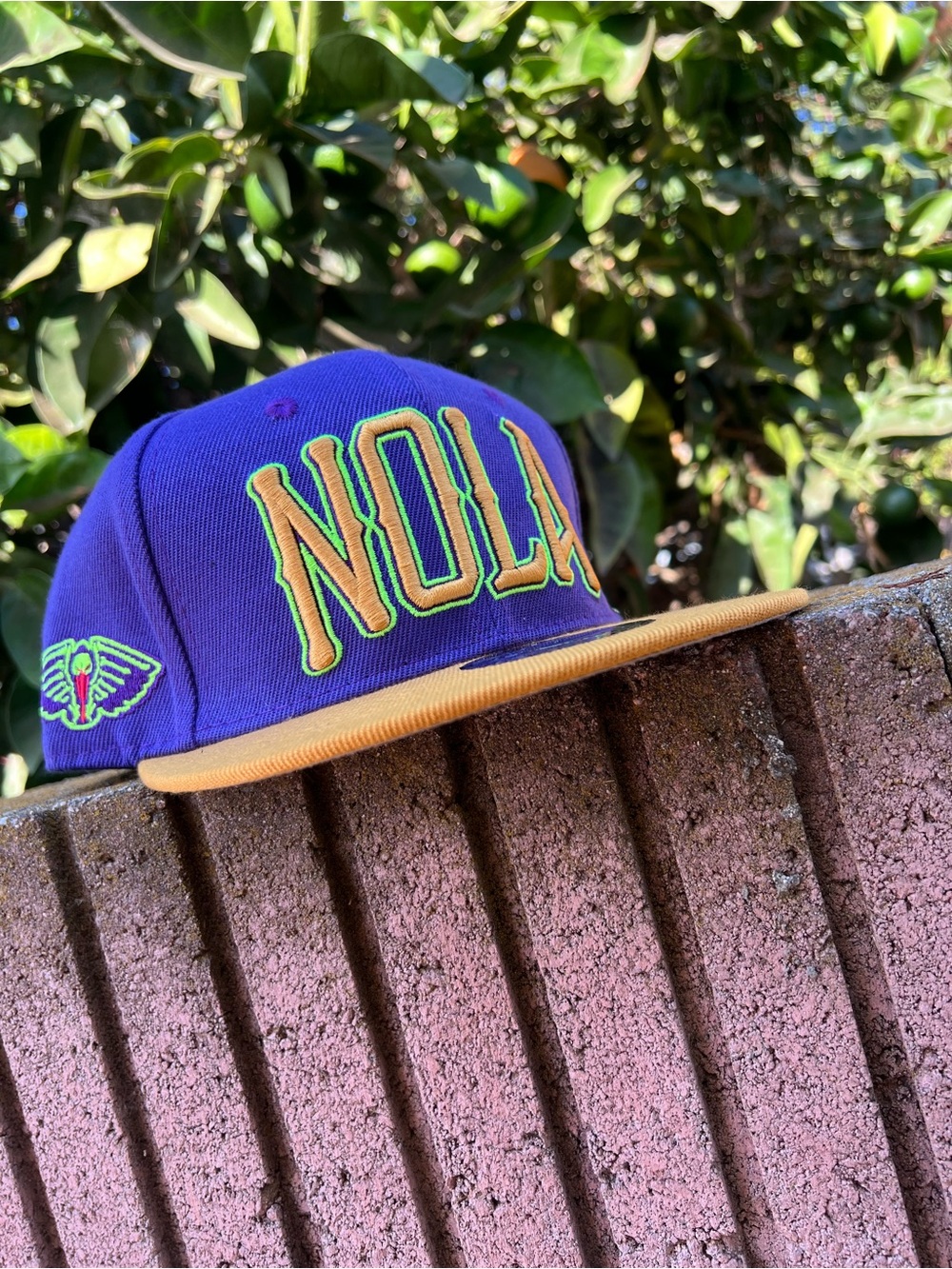 NEW ORLEANS PELICANS SNAPBACK HAT